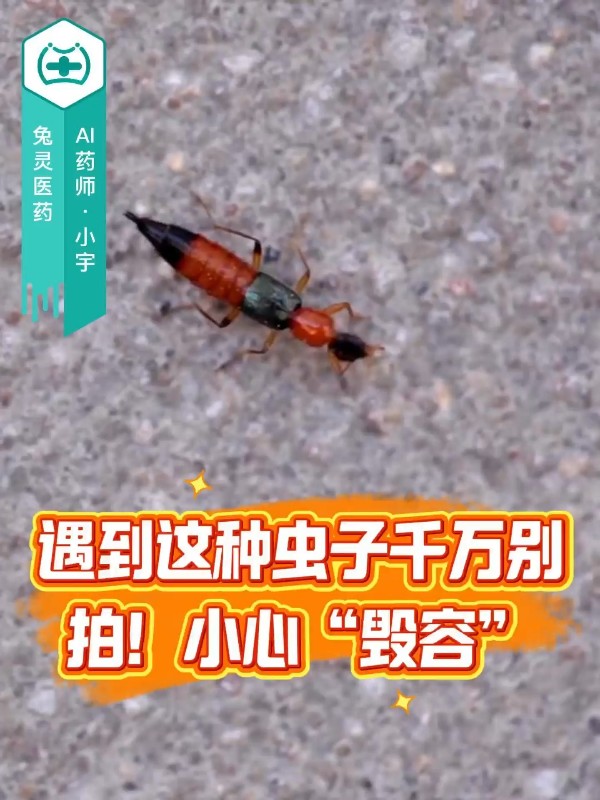 遇到这种虫子千万别拍！小心“毁容”