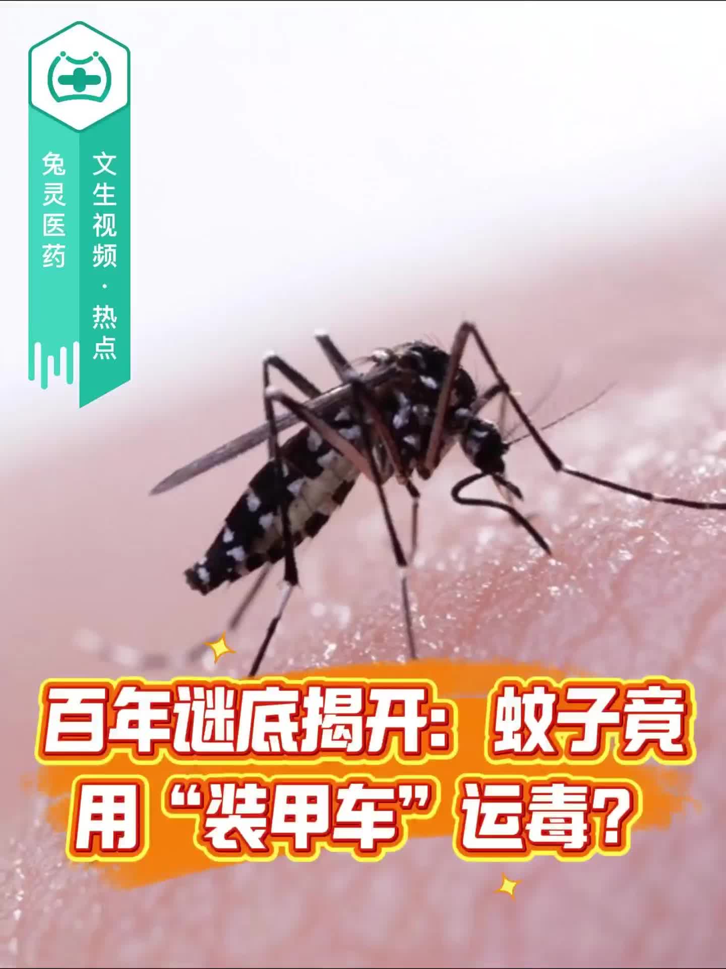 百年谜底揭开：蚊子竟用“装甲车”运毒？