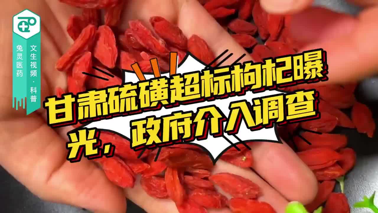 甘肃硫磺超标枸杞曝光，政府介入调查
