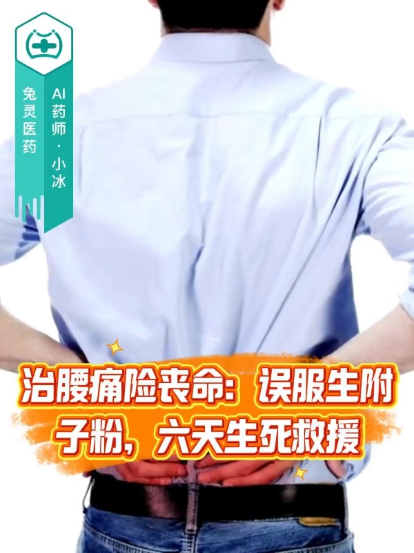 治腰痛险丧命：误服生附子粉，六天生死救援